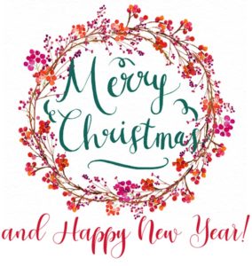 Read more about the article Newsletter – December 2020